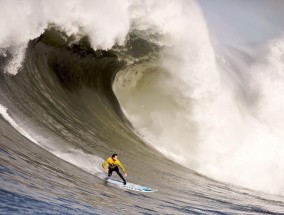 【足彩网平台】樊振东德甲赛场演绎暴力熊猫进化，发球抢攻连贯制胜震撼全场