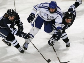 足彩网平台|法甲巅峰战！图卢兹主场死磕领头羊朗斯，保级黑马欲掀翻战术铁军