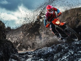 足彩网平台：Amick独家洞察，雄鹿队2025赛季重塑冠军基因的战略蓝图