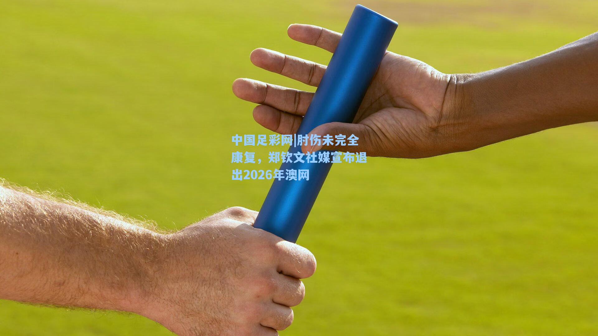 肘伤未完全康复，郑钦文社媒宣布退出2026年澳网