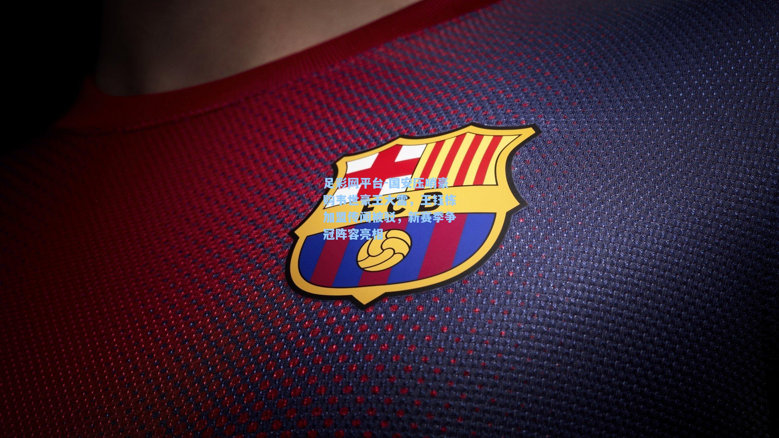 国安压哨豪购韦世豪王大雷，王钰栋加盟传闻被驳，新赛季争冠阵容亮相