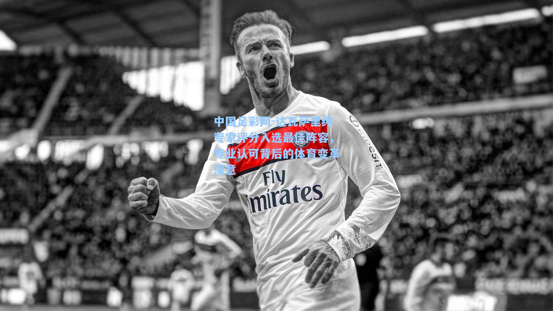 达瓦萨里纯专家评分入选最佳阵容，专业认可背后的体育变革深意