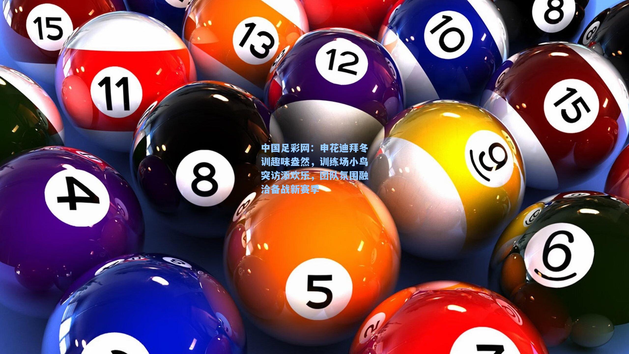 申花迪拜冬训趣味盎然，训练场小鸟突访添欢乐，团队氛围融洽备战新赛季