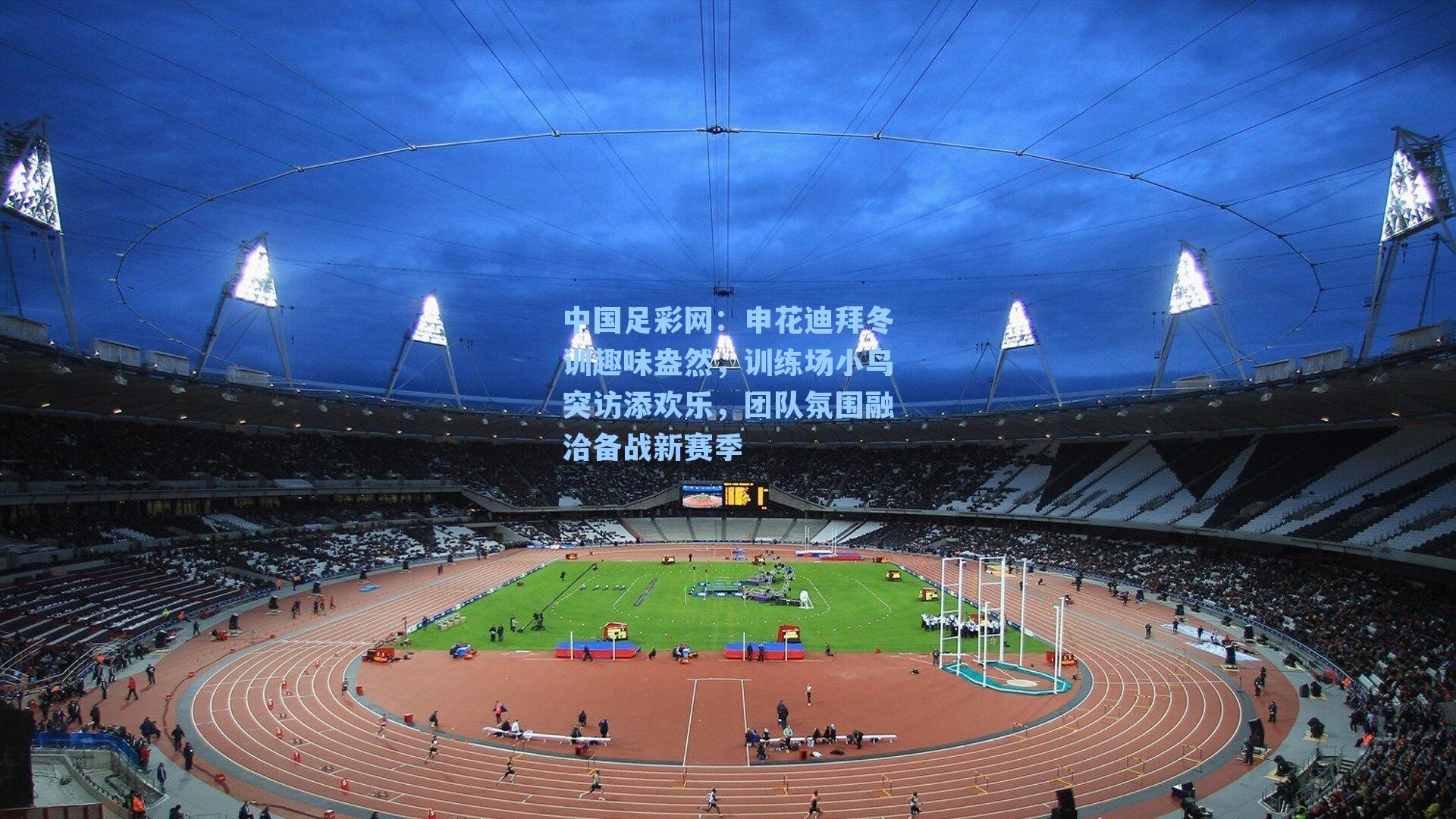 申花迪拜冬训趣味盎然，训练场小鸟突访添欢乐，团队氛围融洽备战新赛季