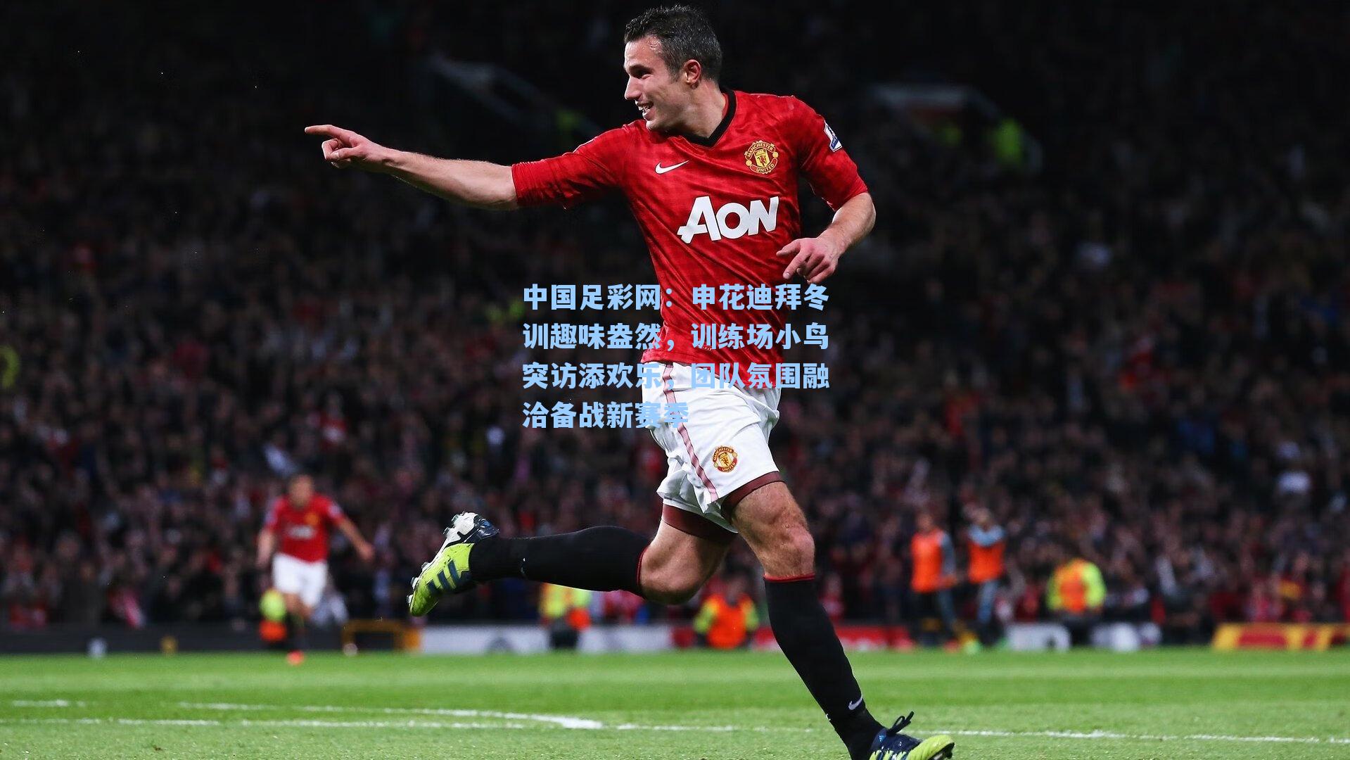 申花迪拜冬训趣味盎然，训练场小鸟突访添欢乐，团队氛围融洽备战新赛季